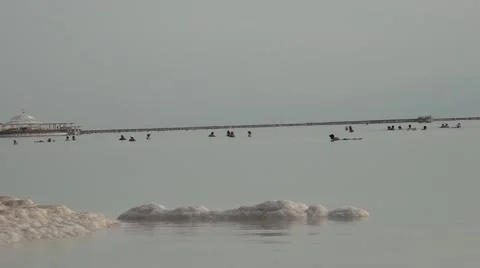 Israel.Dead Sea.Chunks of salt on the surface of the Dead Sea. Stock Footage 68454298