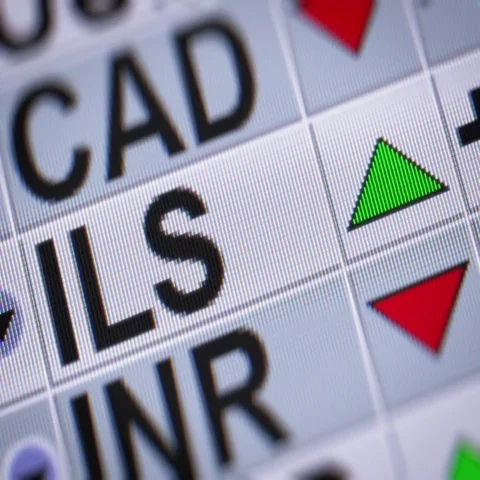Israeli new shekel. Up. Looping. Stock Footage