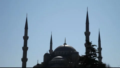 Istanbul Blue Mosque Stock Footage 2325200
