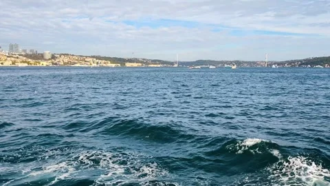 Istanbul Bosphorus Strait Sea View with Flying Seagull and Bridge Background Stock Footage 346723344
