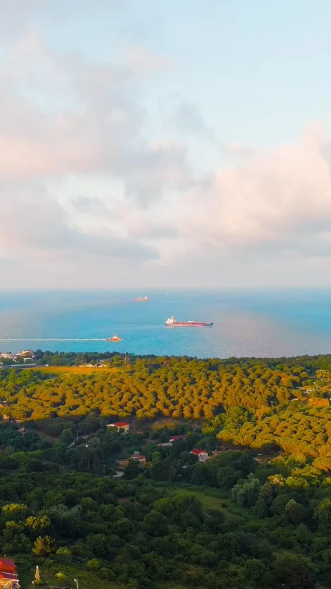 Istanbul, Turkey. Bosphorus Strait cargo vessels, aerial view Stock Footage 292598722