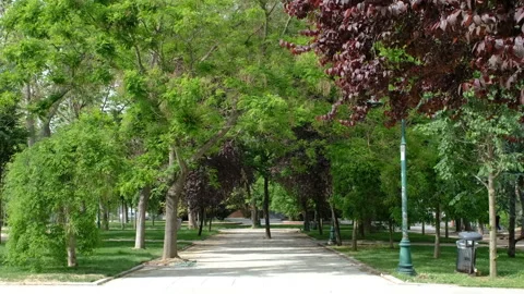 Istanbul’s famous 'gezi park' almost empty due to the coronavirus pandemic. Stock Footage 131024141