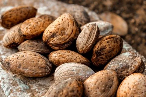 Istrian Almonds Stock Photos