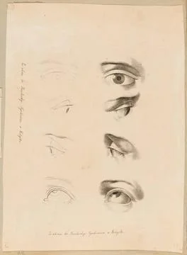 ï»¿Study of the eye (sheet from a pattern book). unknown, graphic artist C Stock Photos