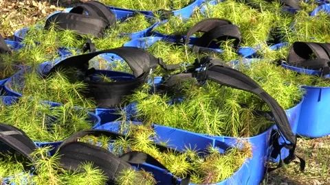 It is based on old and proven principles, but yet refined Stock Footage 113472693