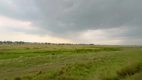 It is cloudy in the vast field. Stock Footage 313453479
