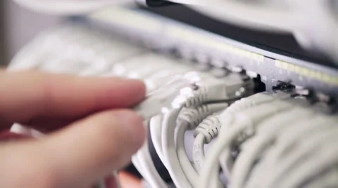 It consultant connect network cable Stock Footage 35754098