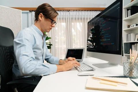 IT developer working online software development on pc and laptop. Pecuniary. 스톡 사진