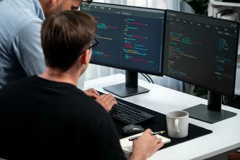 IT developers discussing online software development information. Sellable. Stock Photos