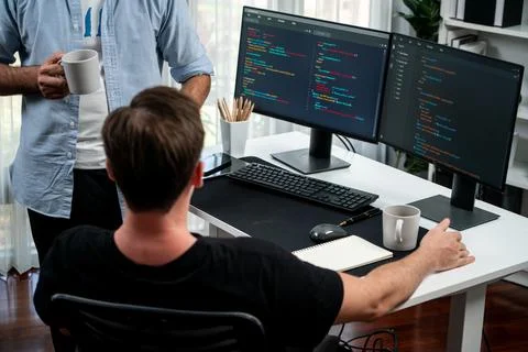 IT developers discussing online software development information. Sellable. Stock Photos
