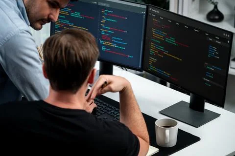 IT developers discussing online software development information. Sellable. Stock Photos