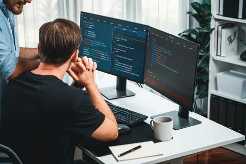 IT developers discussing online software development information. Sellable. Stock Photos