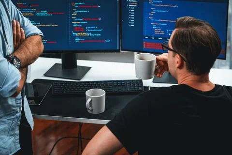 IT developers discussing online software development information. Sellable. Stock Photos