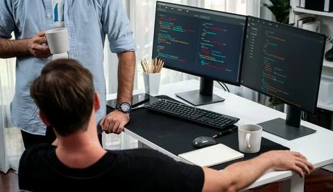 IT developers discussing online software development information. Sellable. Stock Photos