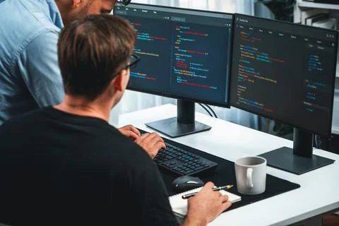 IT developers discussing online software development information. Sellable. Stock Photos