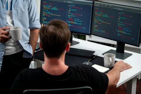 IT developers discussing online software development information. Sellable. Stock Photos