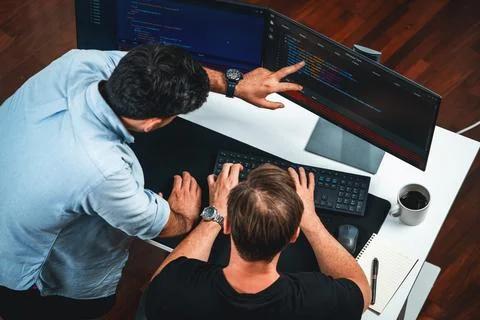 IT developers discussing online software development information. Sellable. Stock Photos