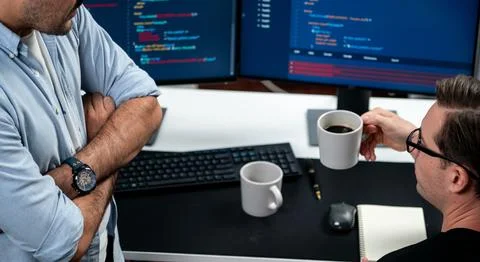 IT developers discussing online software development information. Sellable. Stock Photos