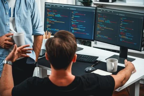 IT developers discussing online software development information. Sellable. Stock Photos