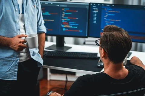 IT developers discussing online software development information. Sellable. Stock Photos