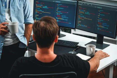 IT developers discussing online software development information. Sellable. Stock Photos