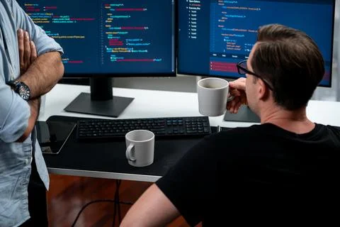 IT developers discussing online software development information. Sellable. Stock Photos