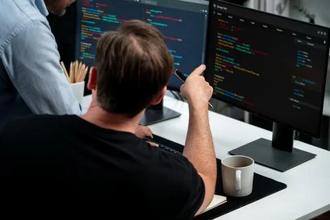 IT developers discussing online software development information. Sellable. Stock Photos