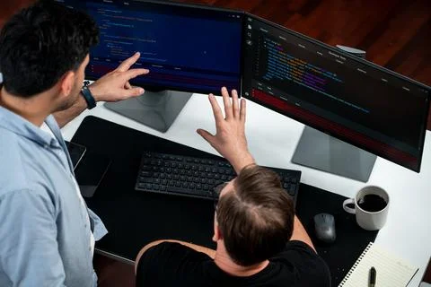 IT developers discussing online software development information. Sellable. Stock Photos