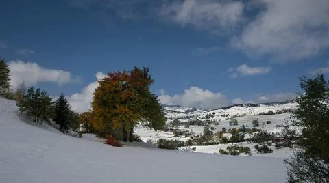 It has snowed on the mountains. The forest is covered with snow. Foto stock