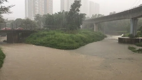 It is heavy rain around the river Stock Footage 104969246