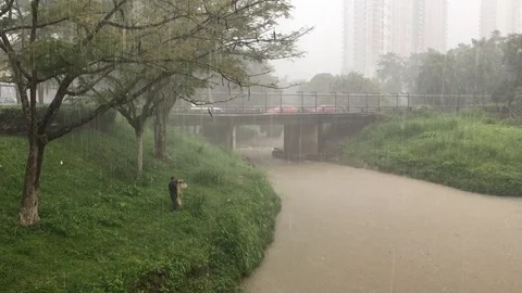It is heavy rain around the river Stock Footage 104969306