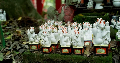 It is many statues of fox filmed by 8k footage_64 Stock Footage 101237573
