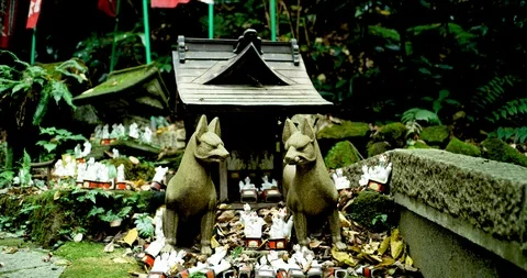 It is many statues of fox filmed by 8k footage in Kamakura _65 Stock Footage 101314571