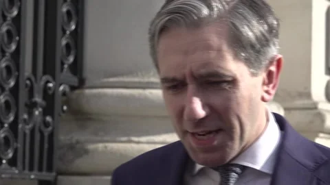 'It is not acceptable' for so many homes to be derelict, says Simon Harris Video stock 337055544