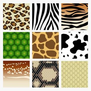 It is a pattern collection of animal skin. Including snake, deer tiger turt.. Stock Illustration