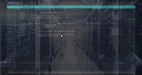 IT professional executing SQL loop by typing commands on terminal overlay for Stock Footage 317119206