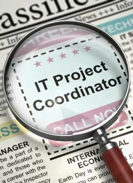 IT Project Coordinator Job Vacancy. 3D. 스톡 일러스트