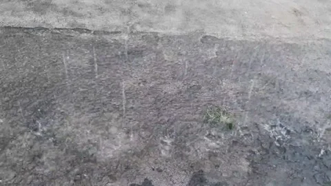 It rain hard in the afternoon Stock Footage 236204397