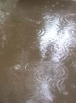 It rain.... Stock Photos