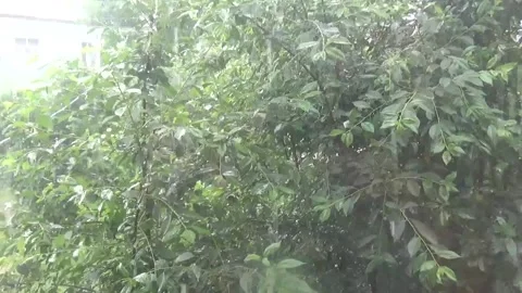 It is raining in the afternoon Stock Footage 312675050