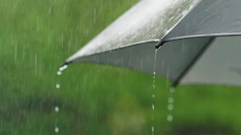 It is raining on black umbrella in green summer rainy weather background Stock Footage 277146429