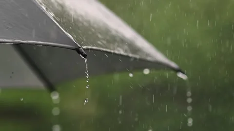 It is raining on black umbrella, rainy weather background Stock Footage 277803870