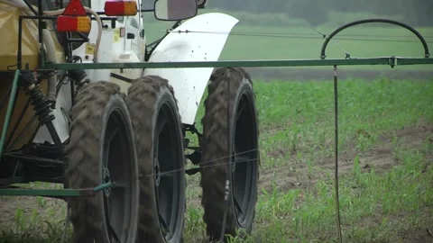 It is raining heavily. Stock Footage 134504472
