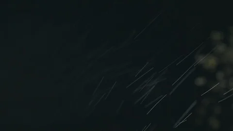 It is raining at night 動画素材 90665123