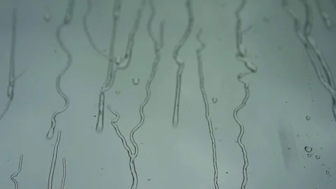 It is raining outside the window Vídeo Stock 109348044