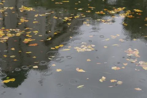 It is raining Stock Photos