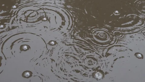 It rains and forms bubbles on the water. Puddles Stock Footage 90504739
