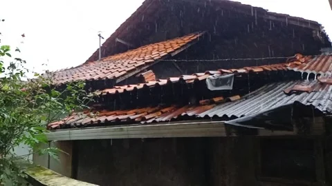 It rains during the day Stock Footage 230964525