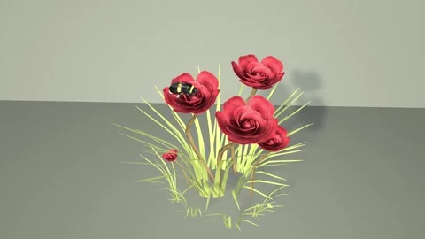 It is a small green tree. Video stock 325039519