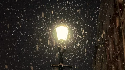 It is snowing against the background of the night sky. Stock Footage 296549850